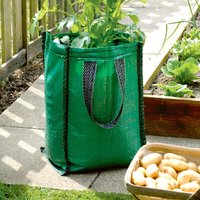 Potato 'Charlotte' (Second Cropping) Growing Kit