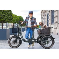 DOTBLUE eBIKE Aktion 18% Rabatt auf Blaupunkt MINNA EDreirad