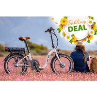 DOTBLUE eBIKE 19% Rabatt auf den Blaupunkt LOTTE mit Rücktrittsfunktion sichern