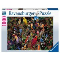 Schitterende vogels 1000st