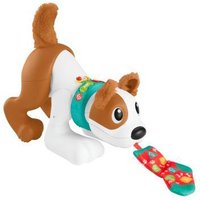 Fisher Price - 123 Kruip met mij Puppy