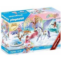 71246 PROMO Playmobil Picknick met Pegasuskoets