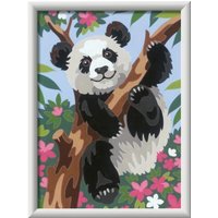 Playful Panda