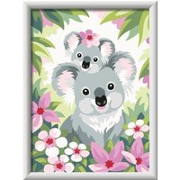 Koala Cuties