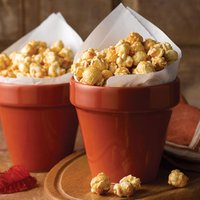 Click to view product details and reviews for Churchill Bit On The Side Plant Pot Food Server Paprika Orange 17oz 480ml Set Of 6. Click to view product details and reviews for Churchill Bit On The Side Plant Pot Food Server Paprika Orange 17oz 480ml Set Of 6.