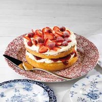 Click to view product details and reviews for Churchill Vintage Prints Cranberry Victorian Calico Plate 305cm Case Of 6. Click to view product details and reviews for Churchill Vintage Prints Cranberry Victorian Calico Plate 305cm Case Of 6.