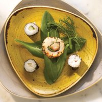 Click to view product details and reviews for Churchill Stonecast Mustard Seed Yellow Triangular Plate 9 Inch 23cm Case Of 12. Click to view product details and reviews for Churchill Stonecast Mustard Seed Yellow Triangular Plate 9 Inch 23cm Case Of 12.