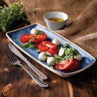Click to view product details and reviews for Churchill Stonecast Cornflower Blue Oblong Plate 1175 295cm Case Of 12. Click to view product details and reviews for Churchill Stonecast Cornflower Blue Oblong Plate 1175 295cm Case Of 12.
