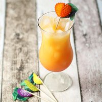 Click to view product details and reviews for Fruit Cocktail Sticks 12 Packs Of 24. Click to view product details and reviews for Fruit Cocktail Sticks 12 Packs Of 24.