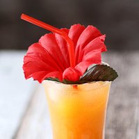 Click to view product details and reviews for Tiki Island Flower Straws Red Pack Of 24. Click to view product details and reviews for Tiki Island Flower Straws Red Pack Of 24.