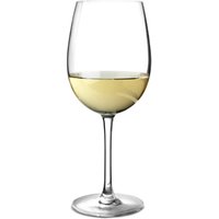 Click to view product details and reviews for Versailles Wine Glasses 204oz 580ml Case Of 12. Click to view product details and reviews for Versailles Wine Glasses 204oz 580ml Case Of 12.