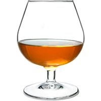 Click to view product details and reviews for Degustation Brandy Glasses 88oz 250ml Case Of 24. Click to view product details and reviews for Degustation Brandy Glasses 88oz 250ml Case Of 24.