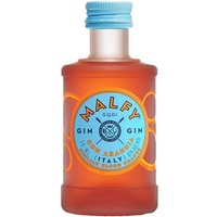 Malfy Con Arancia Gin 5cl Miniature