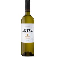 Marques de Caceres Antea White Wine 75cl