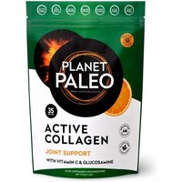 Active Collagen Actief Collageen Poeder (Planet Paleo) 210 gram