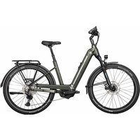 kettler-quadriga-town-country-comp-c-27-5-zoll-750wh-11k-wave-classic-green-shiny