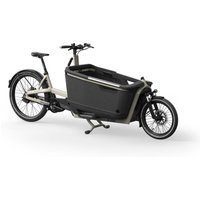 ca-go-fs200-27-5-20-zoll-625wh-enviolo-lastenrad-grey