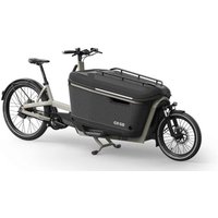 ca-go-fs200-multi-27-5-20-zoll-625wh-enviolo-lastenrad-grey