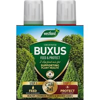 Westland Westland 2 in1 Feed and Protect Buxus - 2 x 500ml