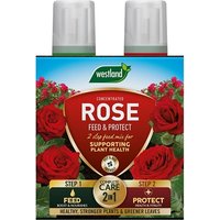 Westland Westland 2 in1 Feed and Protect Rose - 2 x 500ml