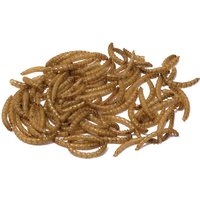Bucktons Bucktons Mealworms 12.55KG