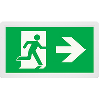 3W LED Maintained Emergency Sign Complete All Legends
