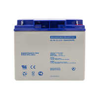 ESP 12V - 17.0ah SLA Battery