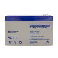 ESP 12V - 7.0ah SLA Battery