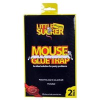 Kingfisher Mouse Glue Traps (2 Pack)