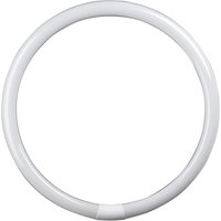 Crompton Fluorescent T9 Circular Triphosphor 22W 3000K G10q 4 Pin