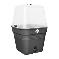 Elho Green Basics Growpot Square Allin1 20cm - Living Black