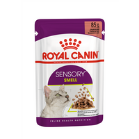 Royal Canin Sensory Smell In Gravy Adult Wet Cat Food, 85g