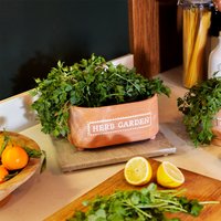 Terracotta Herb Garden Trough Pot Terracotta Herb Garden Trough Pot