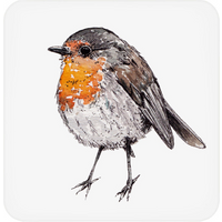 Set of 4 Robin Coasters