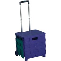 Plastic Folding Box Trolley - Blue & Green - with Lid - 25kg Capacity
