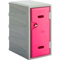 Plastic Locker - Grey Carcass & Pink Door - 600 x 320 x 460mm