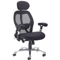 Sandro Mesh Back Office Chair with Head Rest and Adjustable Arms