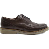 Dubarry Mens Stan Lace Up Shoes - Mahogany - 7