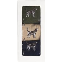 Barbour Mens Pointer Dog Socks Gift Box - Forest Mist - One