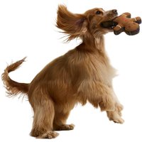 Barbour Christmas Gingerbread Dog Toy - Brown - One