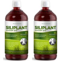 Silicium Siliplant G7 Silicio Biodinamizado 1000ml + 1000ml Duplo Promocion
