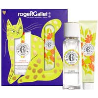 Roger & Gallet Fleur d'osmanthus Colonia 30ml + Crema de Manos 30ml