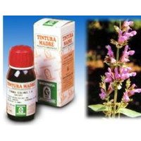 Sp.salvia off.tm 50ml