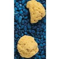 Spugna nat.fori l n.8 f/care