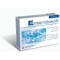Enterobacilli 10 bustine 2g