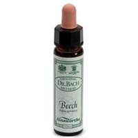 Ainsworths beech 10ml