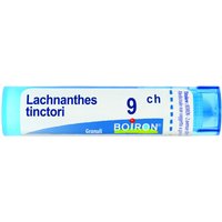 Lachnanthes tinctoria 9ch 80gr