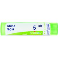 China regia 5ch 80gr 4g