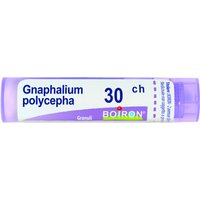 Gnaphalium polycephalum 80 granuli 30 ch contenitore multidose