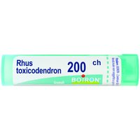 Rhus toxicodendron 200ch 80gr